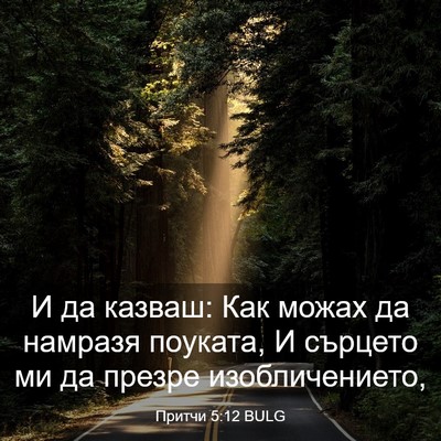 Picture 03 - Притчи 5:12 BULG - И да казваш: Как можах да - Bible Verse Picture