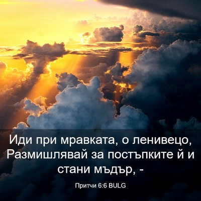 Picture 03 - Притчи 6:6 BULG - Иди при мравката, о - Bible Verse Picture