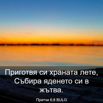 Picture 03 - Притчи 6:8 BULG - Приготвя си храната лете, - Bible Verse Picture