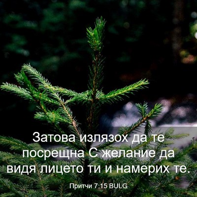 Picture 03 - Притчи 7:15 BULG - Затова излязох да те - Bible Verse Picture