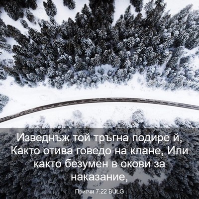Picture 03 - Притчи 7:22 BULG - Изведнъж той тръгна подире - Bible Verse Picture