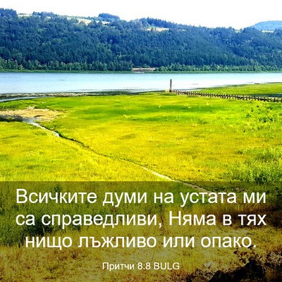 Picture 03 - Притчи 8:8 BULG - Всичките думи на устата ми - Bible Verse Picture