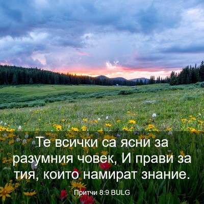 Picture 03 - Притчи 8:9 BULG - Те всички са ясни за - Bible Verse Picture