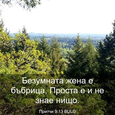 Picture 03 - Притчи 9:13 BULG - Безумната жена е бъбрица, - Bible Verse Picture