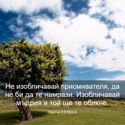 Picture 03 - Притчи 9:8 BULG - Не изобличавай - Bible Verse Picture