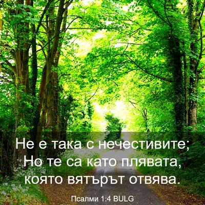Picture 03 - Псалми 1:4 BULG - Не е така с нечестивите; Но - Bible Verse Picture
