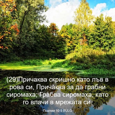 Picture 03 - Псалми 10:9 BULG - (29)Причаква скришно като - Bible Verse Picture