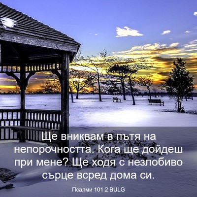 Picture 03 - Псалми 101:2 BULG - Ще вниквам в пътя на - Bible Verse Picture