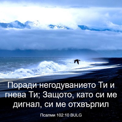 Picture 03 - Псалми 102:10 BULG - Поради негодуванието Ти и - Bible Verse Picture