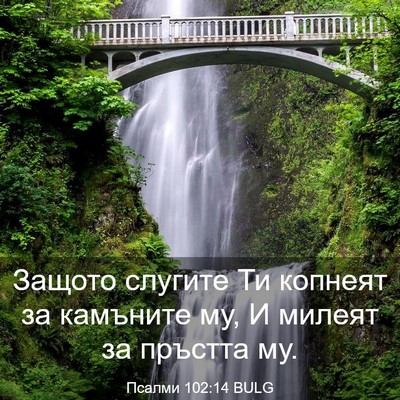 Picture 03 - Псалми 102:14 BULG - Защото слугите Ти копнеят - Bible Verse Picture