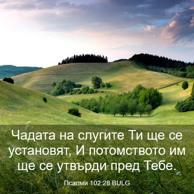 Picture 03 - Псалми 102:28 BULG - Чадата на слугите Ти ще се - Bible Verse Picture