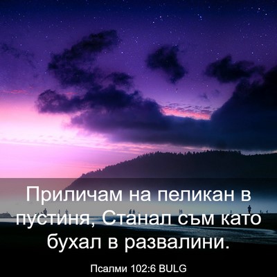 Picture 03 - Псалми 102:6 BULG - Приличам на пеликан в - Bible Verse Picture