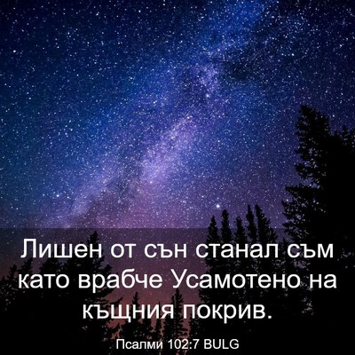 Picture 03 - Псалми 102:7 BULG - Лишен от сън станал съм - Bible Verse Picture