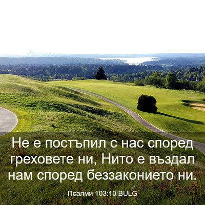 Picture 03 - Псалми 103:10 BULG - Не е постъпил с нас според - Bible Verse Picture