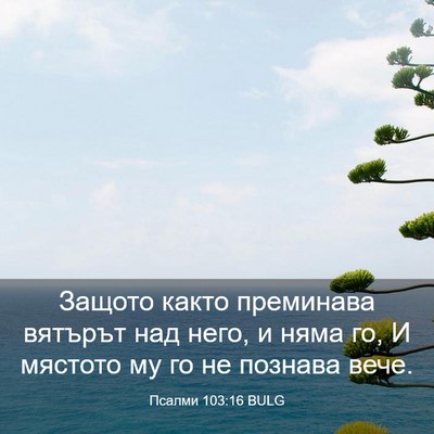 Picture 03 - Псалми 103:16 BULG - Защото както преминава - Bible Verse Picture