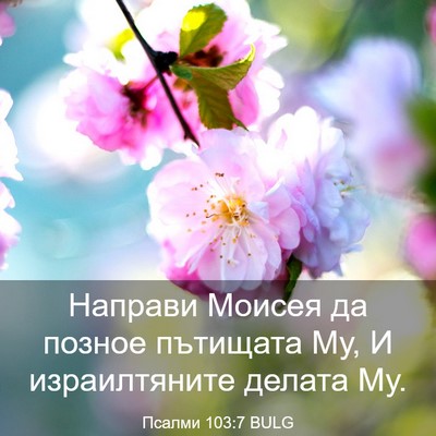 Picture 03 - Псалми 103:7 BULG - Направи Моисея да позное - Bible Verse Picture