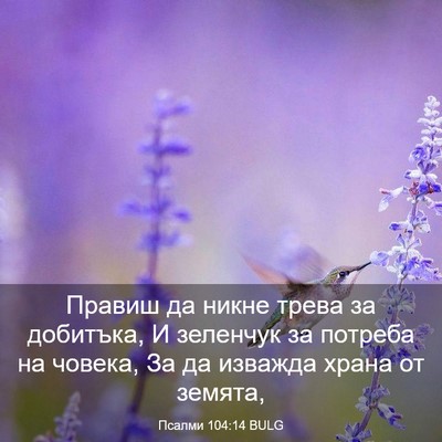 Picture 03 - Псалми 104:14 BULG - Правиш да никне трева за - Bible Verse Picture