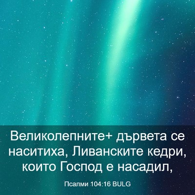 Picture 03 - Псалми 104:16 BULG - Великолепните+ дървета се - Bible Verse Picture