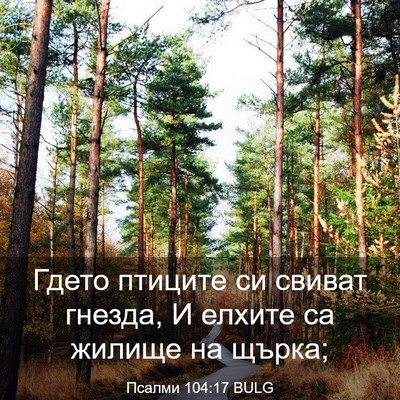 Picture 03 - Псалми 104:17 BULG - Гдето птиците си свиват - Bible Verse Picture