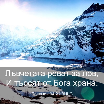 Picture 03 - Псалми 104:21 BULG - Лъвчетата реват за лов, И - Bible Verse Picture