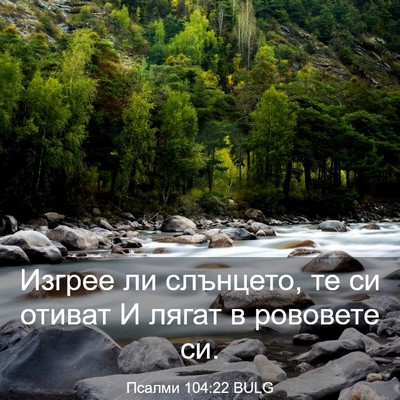 Picture 03 - Псалми 104:22 BULG - Изгрее ли слънцето, те си - Bible Verse Picture