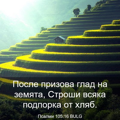 Picture 03 - Псалми 105:16 BULG - После призова глад на - Bible Verse Picture