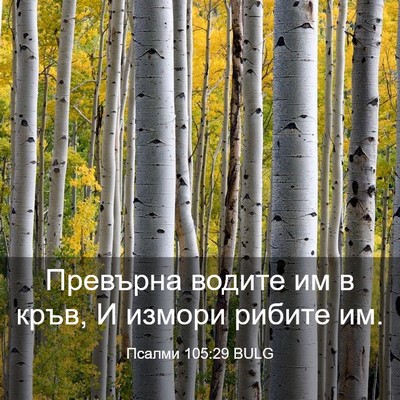 Picture 03 - Псалми 105:29 BULG - Превърна водите им в кръв, - Bible Verse Picture