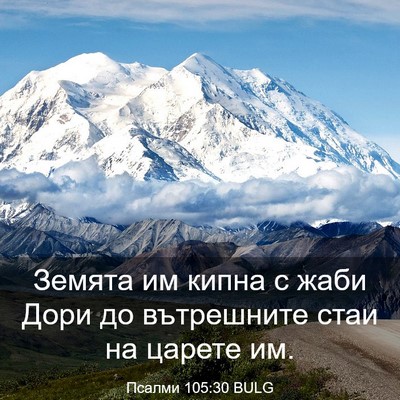 Picture 03 - Псалми 105:30 BULG - Земята им кипна с жаби Дори - Bible Verse Picture