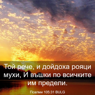 Picture 03 - Псалми 105:31 BULG - Той рече, и дойдоха рояци - Bible Verse Picture