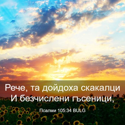 Picture 03 - Псалми 105:34 BULG - Рече, та дойдоха скакалци И - Bible Verse Picture