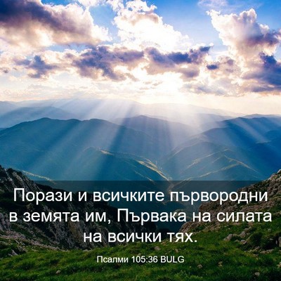 Picture 03 - Псалми 105:36 BULG - Порази и всичките - Bible Verse Picture