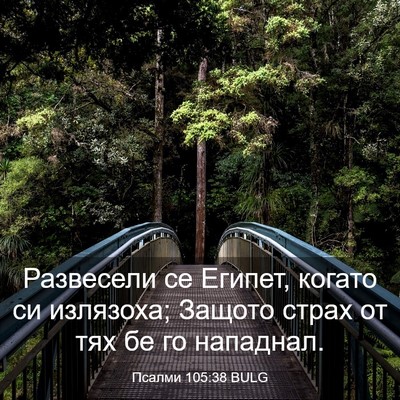 Picture 03 - Псалми 105:38 BULG - Развесели се Египет, - Bible Verse Picture