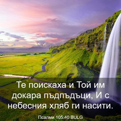 Picture 03 - Псалми 105:40 BULG - Те поискаха и Той им докара - Bible Verse Picture