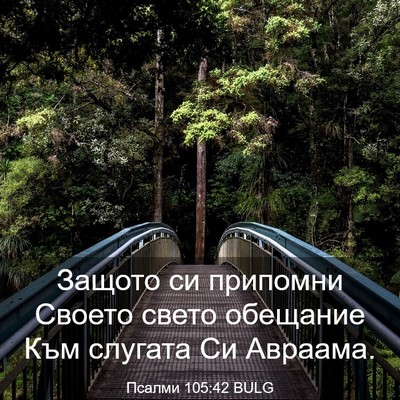 Picture 03 - Псалми 105:42 BULG - Защото си припомни Своето - Bible Verse Picture