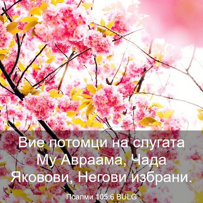 Picture 03 - Псалми 105:6 BULG - Вие потомци на слугата Му - Bible Verse Picture