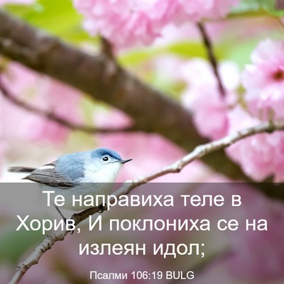 Picture 03 - Псалми 106:19 BULG - Те направиха теле в Хорив, - Bible Verse Picture