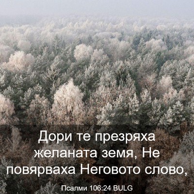 Picture 03 - Псалми 106:24 BULG - Дори те презряха желаната - Bible Verse Picture
