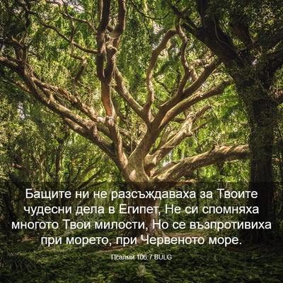 Picture 03 - Псалми 106:7 BULG - Бащите ни не разсъждаваха - Bible Verse Picture