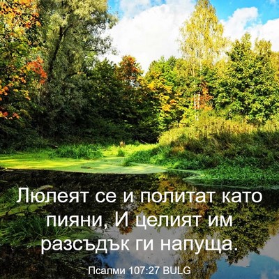 Picture 03 - Псалми 107:27 BULG - Люлеят се и политат като - Bible Verse Picture