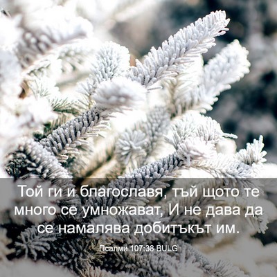 Picture 03 - Псалми 107:38 BULG - Той ги и благославя, тъй - Bible Verse Picture