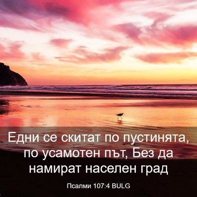 Picture 03 - Псалми 107:4 BULG - Едни се скитат по - Bible Verse Picture