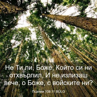 Picture 03 - Псалми 108:11 BULG - Не Ти ли, Боже, Който си ни - Bible Verse Picture