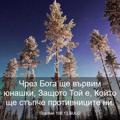 Picture 03 - Псалми 108:13 BULG - Чрез Бога ще вървим юнашки, - Bible Verse Picture