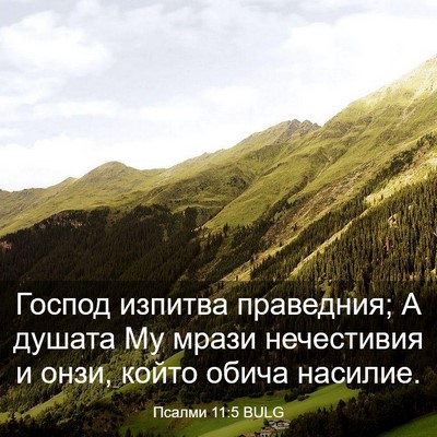 Picture 03 - Псалми 11:5 BULG - Господ изпитва праведния; - Bible Verse Picture