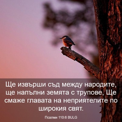 Picture 03 - Псалми 110:6 BULG - Ще извърши съд между - Bible Verse Picture