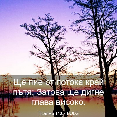 Picture 03 - Псалми 110:7 BULG - Ще пие от потока край пътя; - Bible Verse Picture