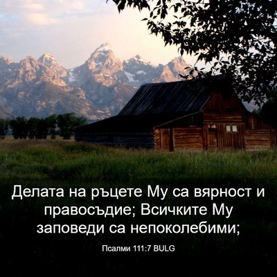 Picture 03 - Псалми 111:7 BULG - Делата на ръцете Му са - Bible Verse Picture
