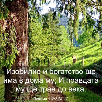 Picture 03 - Псалми 112:3 BULG - Изобилие и богатство ще - Bible Verse Picture