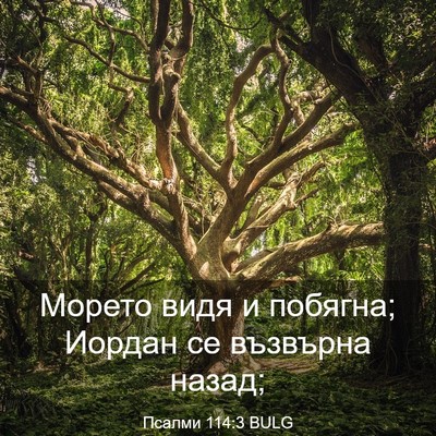 Picture 03 - Псалми 114:3 BULG - Морето видя и побягна; - Bible Verse Picture