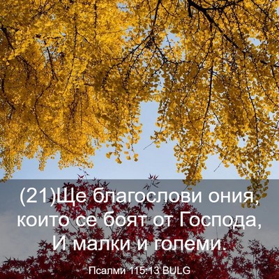 Picture 03 - Псалми 115:13 BULG - (21)Ще благослови ония, - Bible Verse Picture
